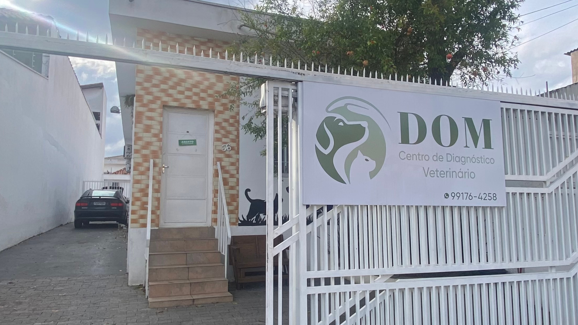 Cuidado Veterinário de Luxo